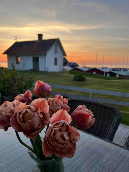 Hamnstuga I Haestholmens Smabatshamn Holiday home Odeshog