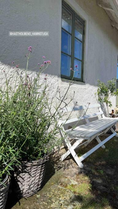Hamnstuga I Haestholmens Smabatshamn *